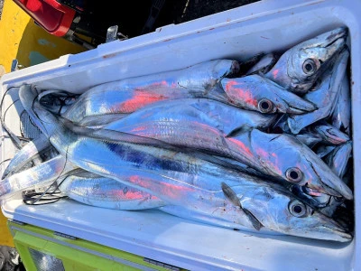 橋安丸の2025年12月7日(日)4枚目の写真