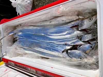 橋安丸の2025年12月7日(日)5枚目の写真