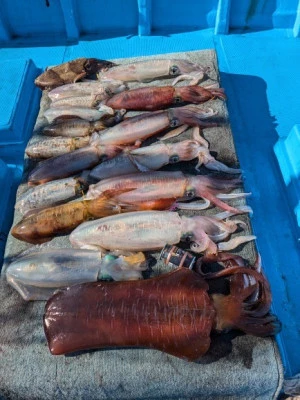 日正丸の2025年12月7日(日)2枚目の写真