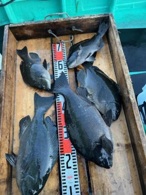 とせん丸の2025年12月7日(日)2枚目の写真