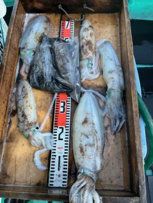 とせん丸の2025年12月7日(日)3枚目の写真