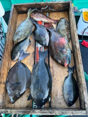 とせん丸の2025年12月7日(日)4枚目の写真