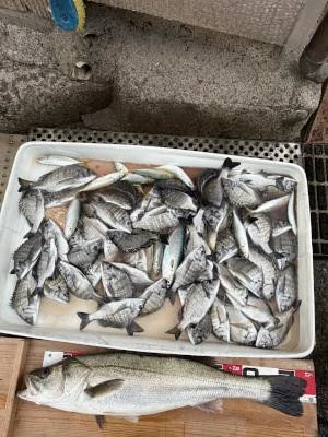 金丸渡船の2025年12月7日(日)1枚目の写真