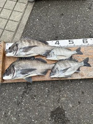 金丸渡船の2025年12月7日(日)2枚目の写真