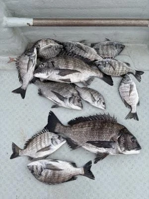 金丸渡船の2025年12月7日(日)3枚目の写真