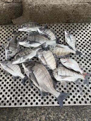 金丸渡船の2025年12月7日(日)4枚目の写真