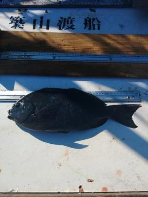 築山渡船の2025年12月7日(日)1枚目の写真