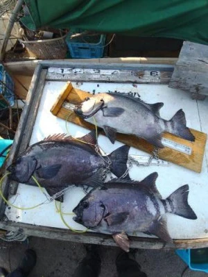 築山渡船の2025年12月8日(月)1枚目の写真