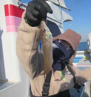 長崎屋の2025年12月8日(月)2枚目の写真