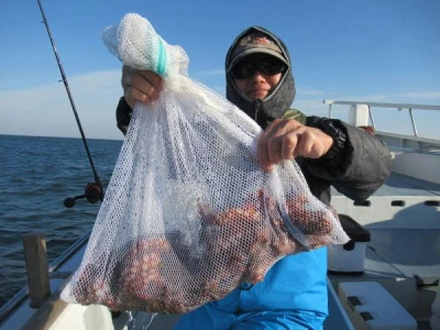 長崎屋の2025年12月8日(月)5枚目の写真