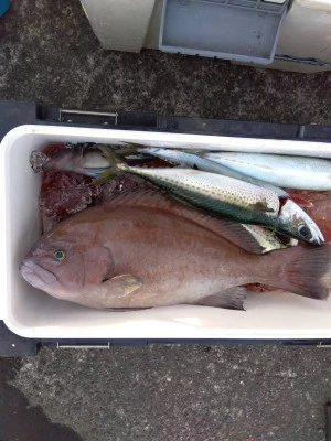 優幸丸の2025年12月9日(火)2枚目の写真