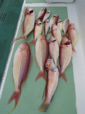 村井丸の2025年12月10日(水)3枚目の写真