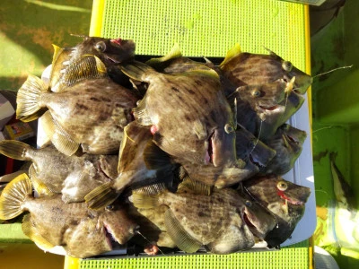 鴨下丸kawanaの2025年12月11日(木)5枚目の写真