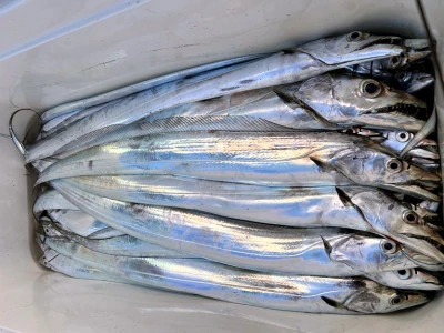 橋安丸の2025年12月11日(木)2枚目の写真