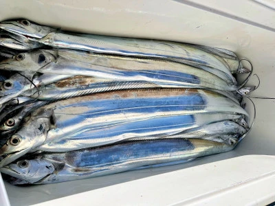 橋安丸の2025年12月11日(木)3枚目の写真