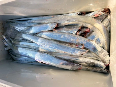 橋安丸の2025年12月11日(木)4枚目の写真