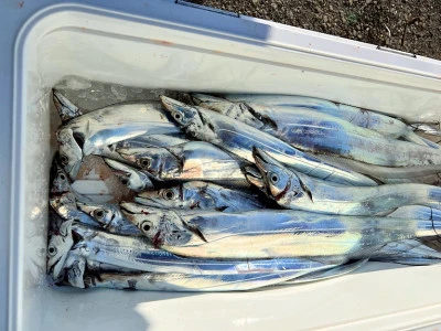 橋安丸の2025年12月11日(木)5枚目の写真