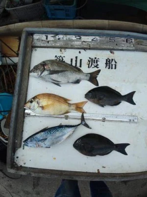 築山渡船の2025年12月11日(木)1枚目の写真