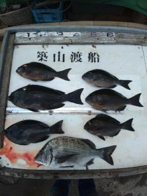 築山渡船の2025年12月11日(木)2枚目の写真