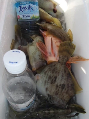 村井丸の2025年12月11日(木)4枚目の写真