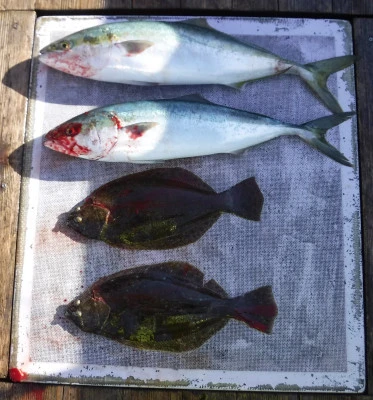 敏栄丸の2025年11月30日(日)2枚目の写真