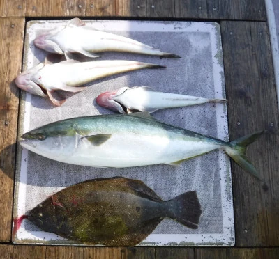 敏栄丸の2025年12月8日(月)3枚目の写真