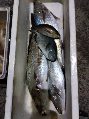 優幸丸の2025年12月12日(金)1枚目の写真