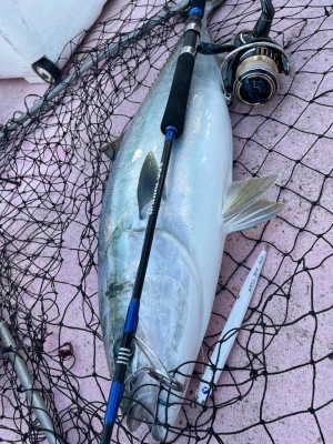 山正丸の2025年12月10日(水)3枚目の写真