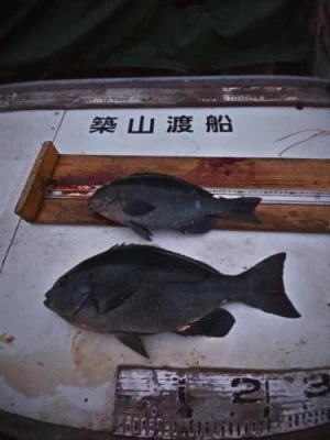 築山渡船の2025年12月13日(土)2枚目の写真