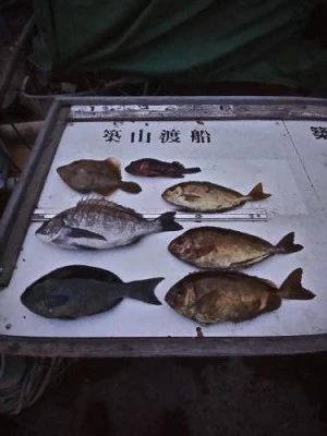 築山渡船の2025年12月13日(土)3枚目の写真