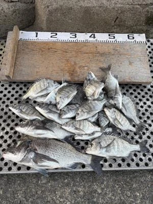 金丸渡船の2025年12月13日(土)1枚目の写真