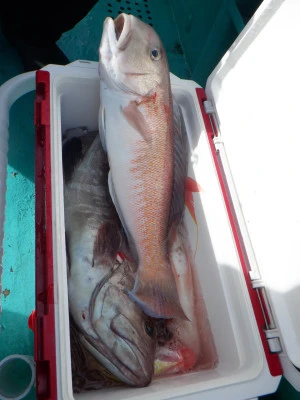 村井丸の2025年12月13日(土)4枚目の写真