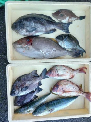 美代志丸の2025年11月30日(日)1枚目の写真