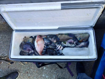 美代志丸の2025年11月30日(日)3枚目の写真