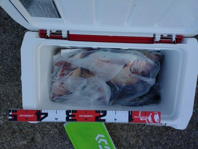 美代志丸の2025年11月30日(日)4枚目の写真