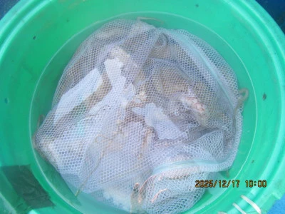 大洗丸の2025年12月17日(水)5枚目の写真