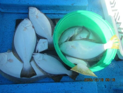 大洗丸の2025年12月18日(木)4枚目の写真