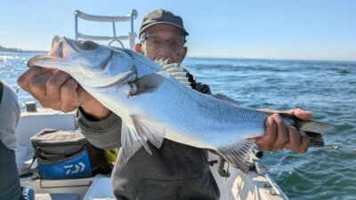 桜丸の2025年12月7日(日)1枚目の写真