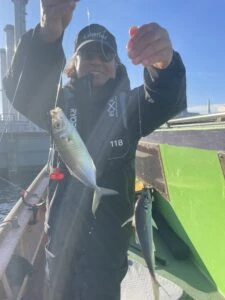 伊藤遊船の2025年12月10日(水)4枚目の写真