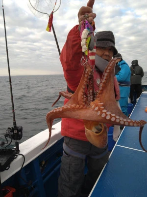 豊丸の2025年12月19日(金)1枚目の写真