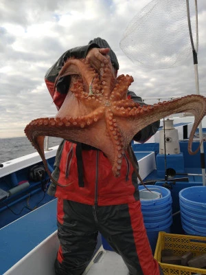 豊丸の2025年12月19日(金)2枚目の写真