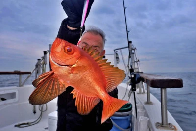 大洗チャーターガイドサービスの2025年11月25日(火)4枚目の写真