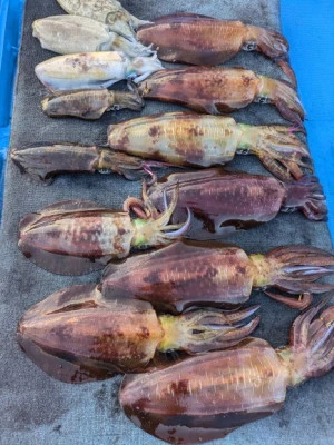 日正丸の2025年12月19日(金)2枚目の写真