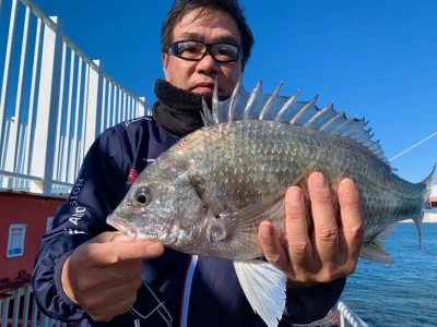 尼崎市立魚つり公園の2025年12月20日(土)2枚目の写真