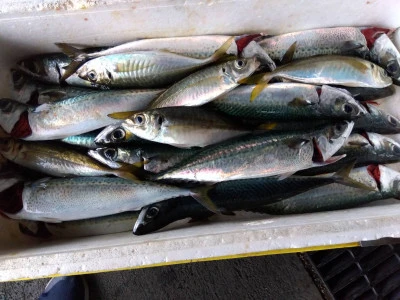 優幸丸の2025年12月20日(土)1枚目の写真