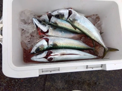 優幸丸の2025年12月20日(土)2枚目の写真