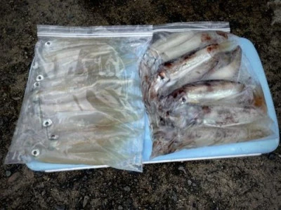 佐円丸の2025年12月20日(土)5枚目の写真