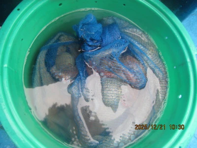 大洗丸の2025年12月21日(日)4枚目の写真