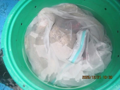 大洗丸の2025年12月21日(日)5枚目の写真