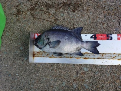 美代志丸の2025年12月20日(土)1枚目の写真